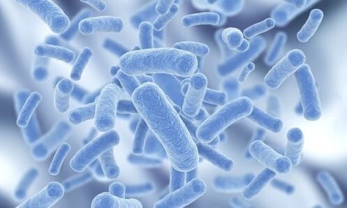 bacterii din corpul uman