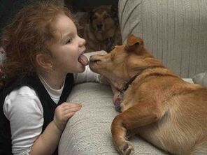 copilul sărută câinele și se infectează cu paraziți